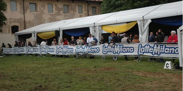 Struttura modulare per copertura ampi spazi della Perelli Service